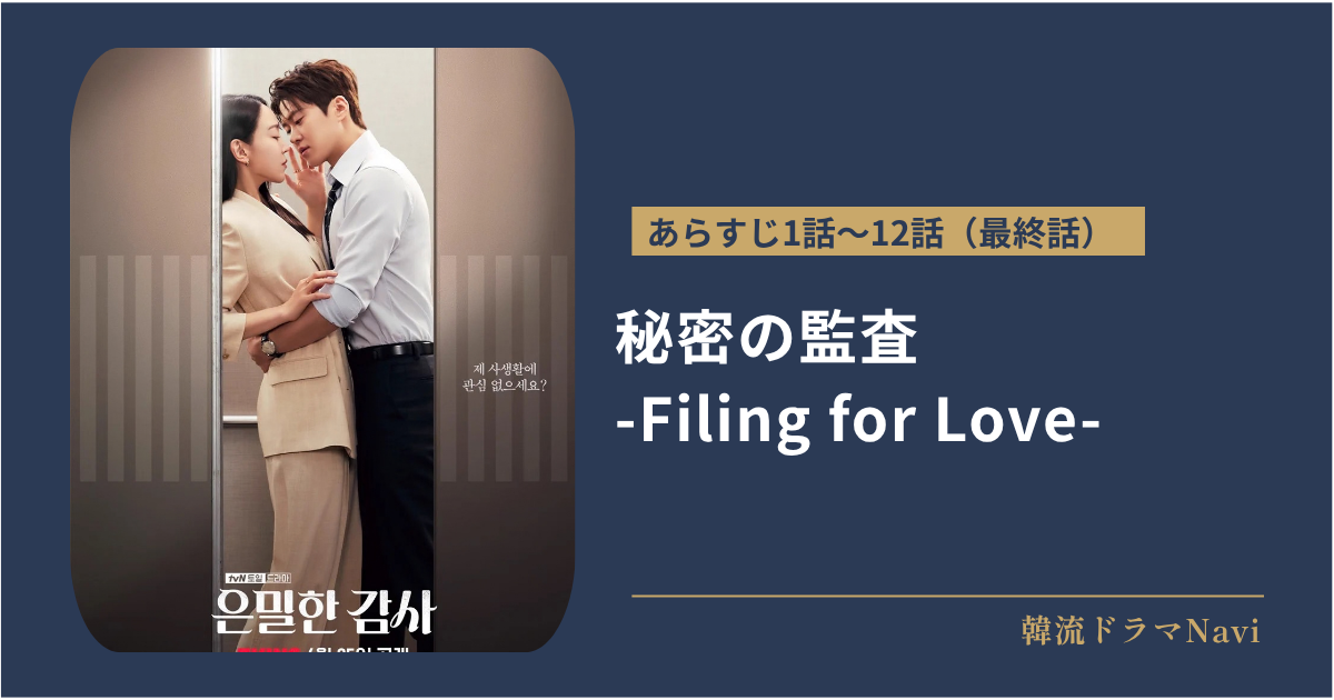 秘密の監査 -Filing for Love-のあらすじ