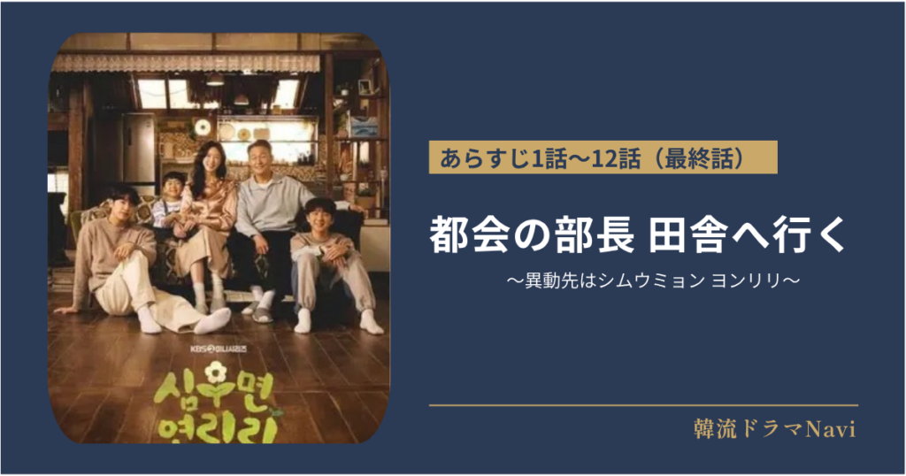 都会の部長 田舎へ行く ～異動先はシムウミョン ヨンリリ～のあらすじ